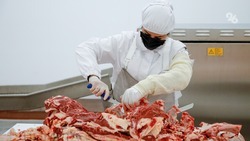 Новые экспортные рынки для сбыта мяса открывают сельхозтоваропроизводители Ставрополья
